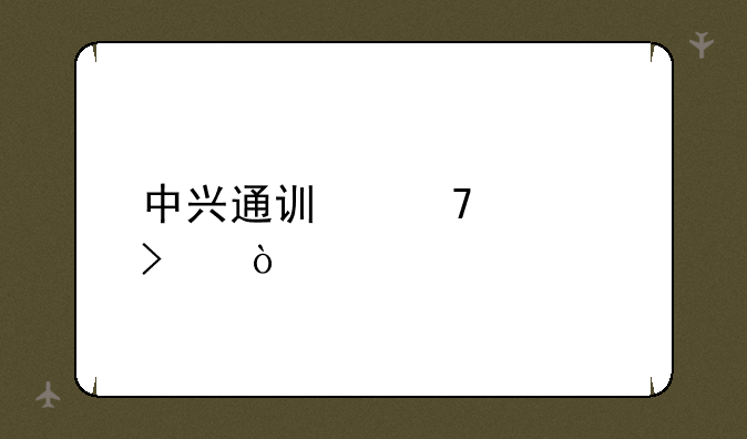 中兴通讯母公司？