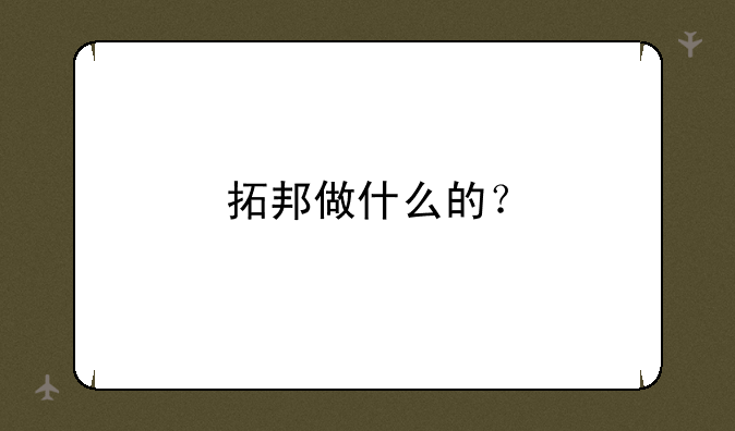 拓邦做什么的？