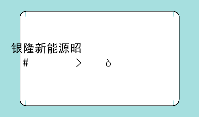 银隆新能源是一家什么公司？