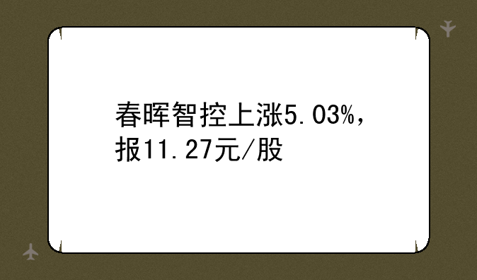 春晖智控上涨5.03%，报11.27元/股