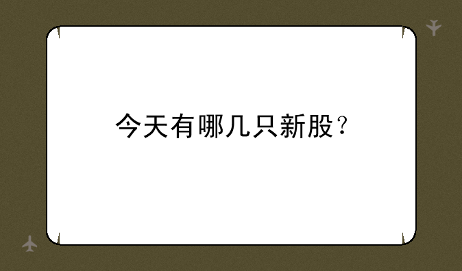 今天有哪几只新股？