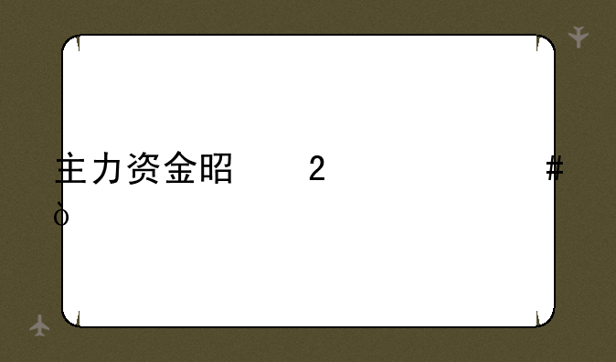 主力资金是指什么？