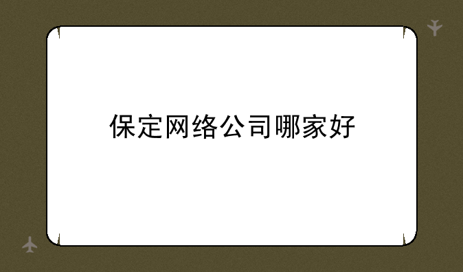 保定网络公司哪家好