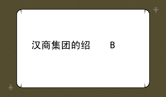 汉商集团的经营情况