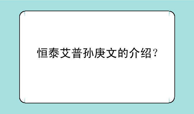 恒泰艾普孙庚文的介绍？