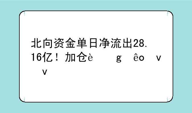 北向资金单日净流出28.16亿！加仓这些板块