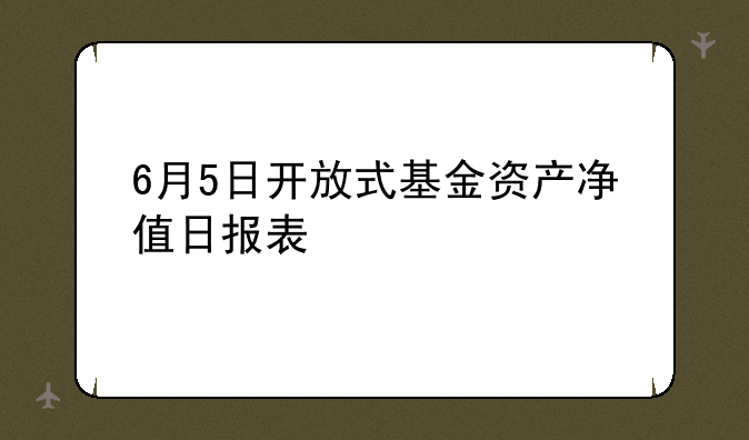 6月5日开放式基金资产净值日报表