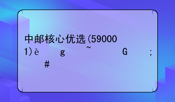 中邮核心优选(590001)这个基金怎么样?