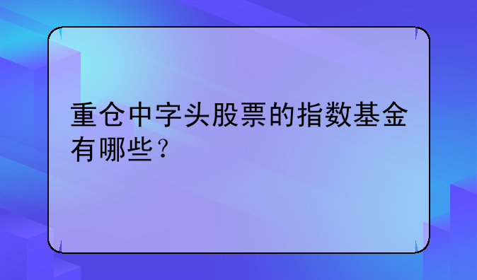 重仓中字头股票的指数基金有哪些？