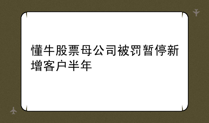 懂牛股票母公司被罚暂停新增客户半年