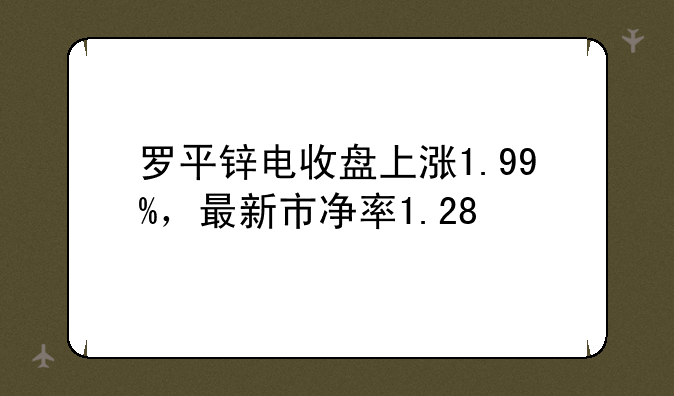 罗平锌电收盘上涨1.99%，最新市净率1.28