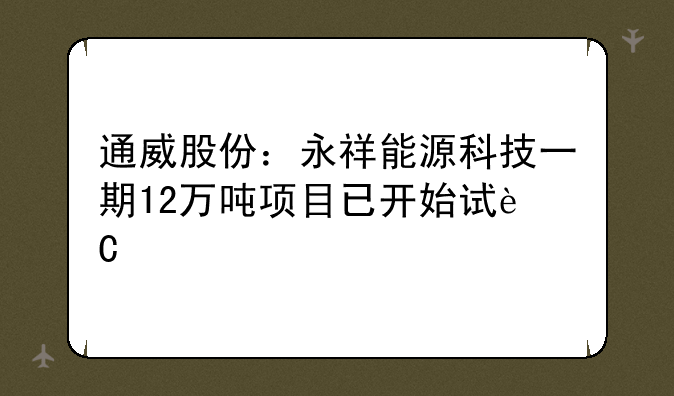 通威股份：永祥能源科技一期12万吨项目已开始试运行