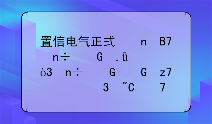 置信电气正式更名国网英大，国网金融资产完成重组上市