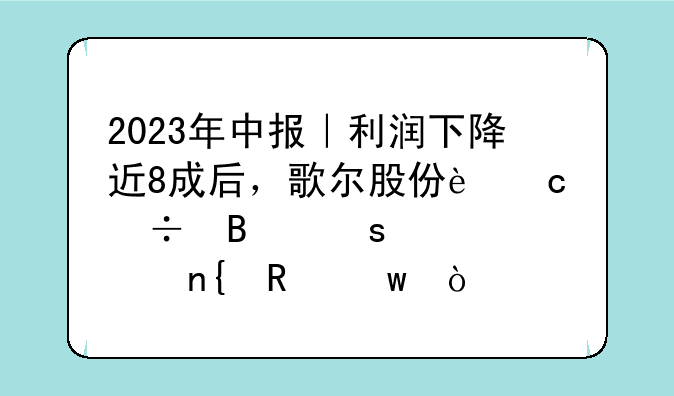 2023年中报｜利润下降近8成后，歌尔股份还能否“起死回生”？