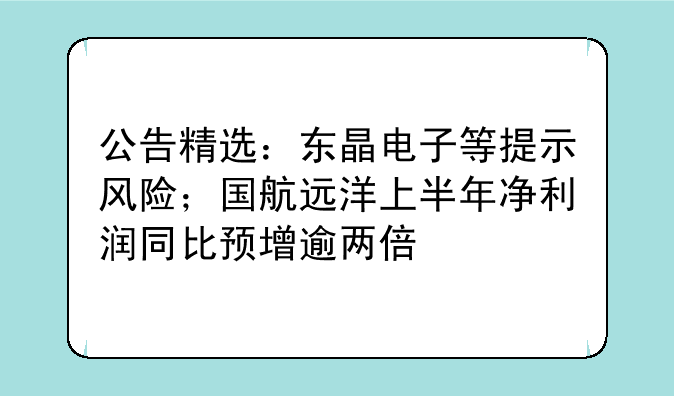 公告精选：东晶电子等提示风险；国航远洋上半年净利润同比预增逾两倍